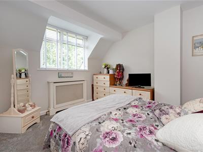 Picture 15